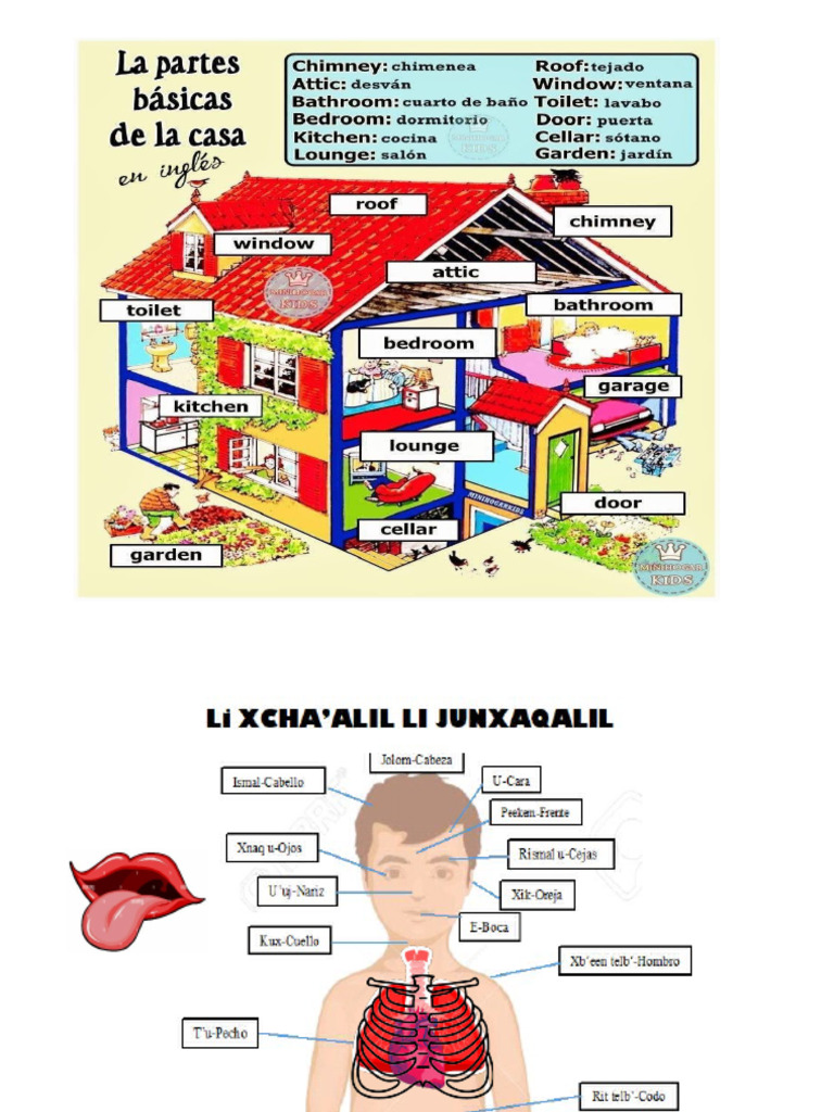 Partes Del Cuerpo en Qeqchi | PDF