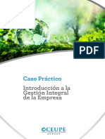 Caso - Practico1 - Introduccion A La Gestion Integral de La Empresa