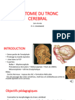 2-Tronc Cérebrale