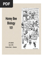 Honeyqueenbiology