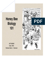 Honeyqueenbiology