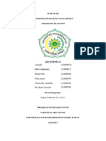 SPM - Strategic Planning - Kel 2B