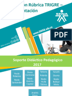 Diinamización Rúbrica Trigre 2017