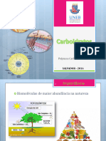 Aula 5 - Carboidratos Estrutura e Metabolismo