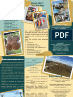 Triptico Geografia