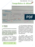 Cadeia Transportadora de Elétrons