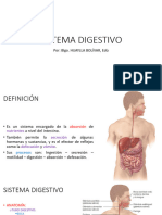 Sistema Digestivo