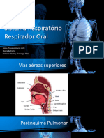 Sistema Respiratório e Respirador Bucal