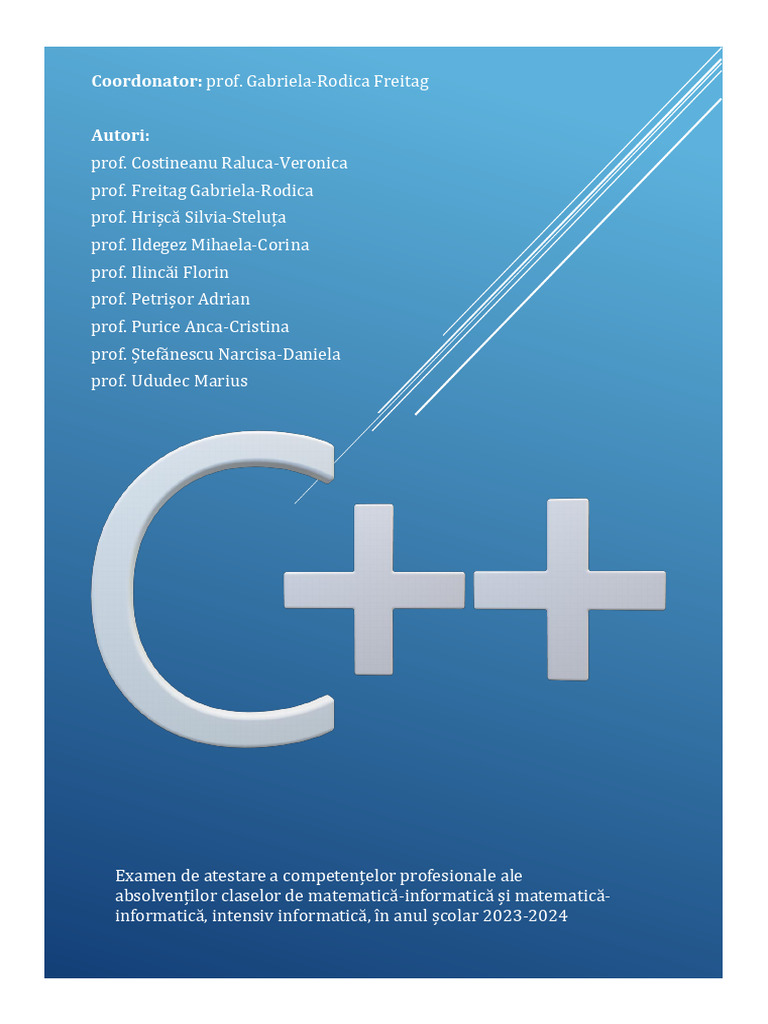 Subiecte Programare 2024 | PDF