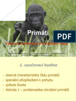 Vyukova Prez. Primati