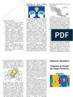 Introducción. Descripción Del Campo Formativo para La Educación Secundaria