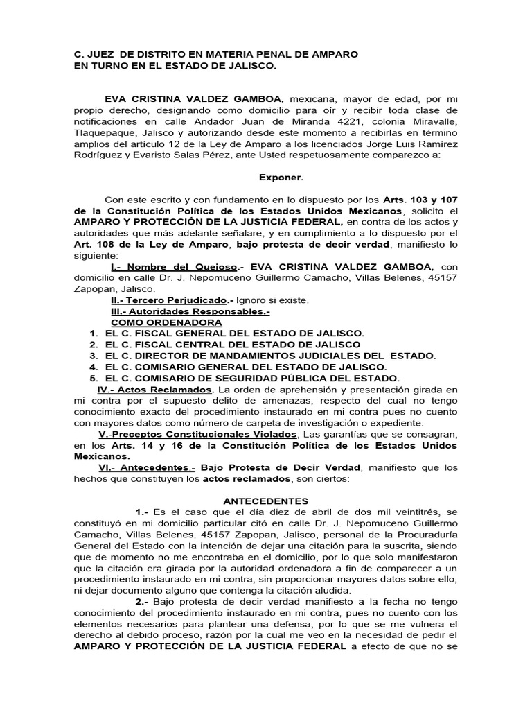 Amparo contra orden de aprehensión | PDF | Debido al proceso | Caso de ley