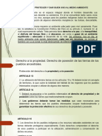 Derecho A Cuidar El Medio Ambiente