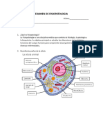 Guia de Examen Fisiopatologia