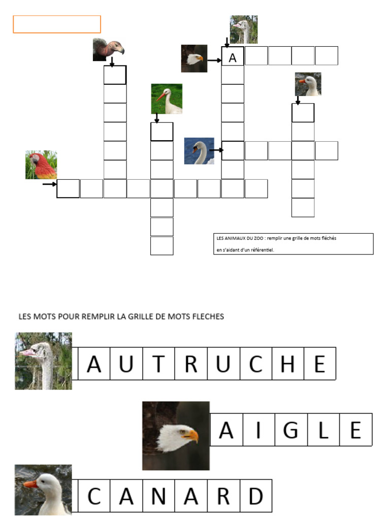 Mots fléchés : Animaux du zoo | PDF | Études des langues étrangères ...