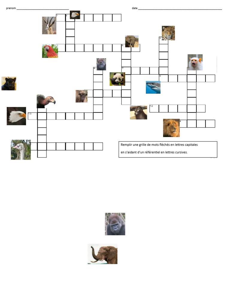 Mots Fléchés : Animaux du Zoo | PDF