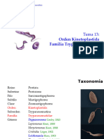 Tema 13. Orden Kinetoplastida