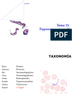 Tema 13. Trypanosoma Rangeli