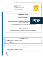 Rapport COMPAORE - Finale - Copie