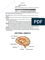 Biopsicología 2do Parcial