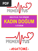 Ekaterina Vulichenko porno rasmlar