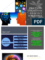 Funciones Cognitivas Superiores y Básicas