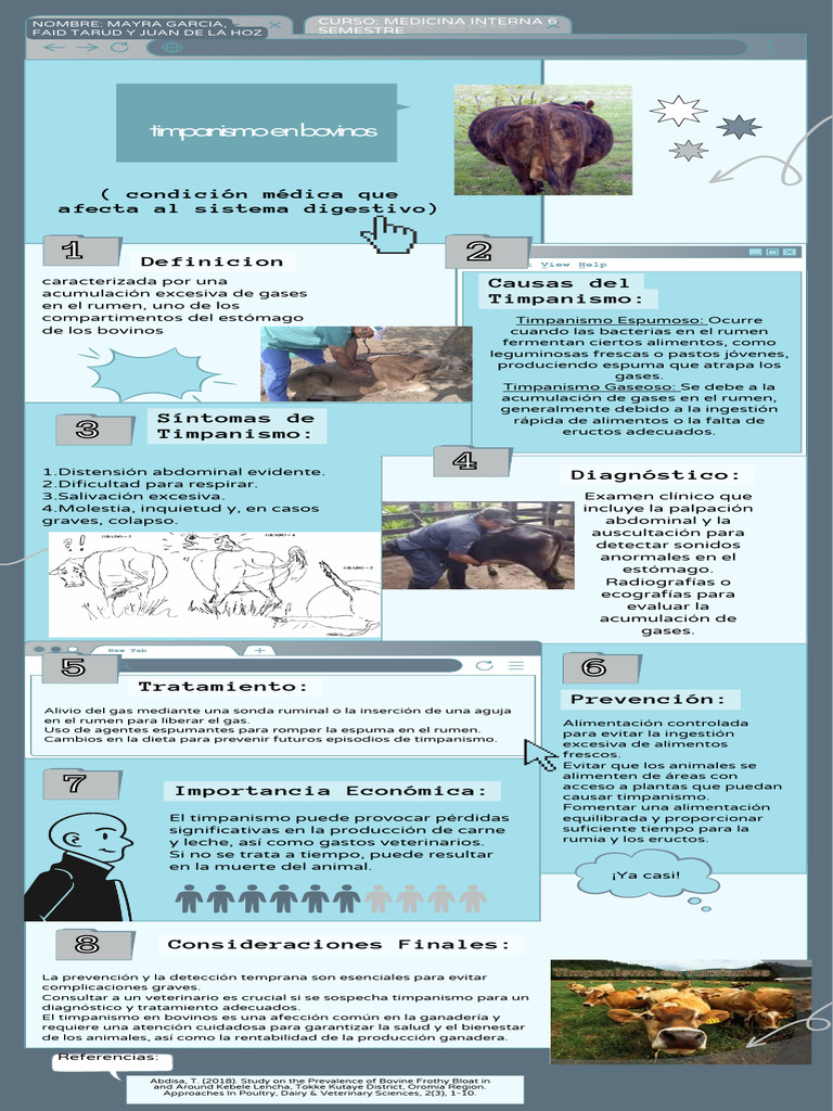 Timpanismo en Bovinos PDF Alergia Vacas