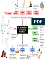 Mapa Mental - Encaminhamento de Pacientes Queimados