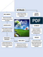 Mapa Conceptual de La Naturaleza