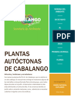 Plantas Autóctonas de Cabalango.