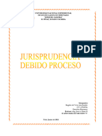 Jurisprudencia Debido Proceso