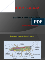 INSECTOTOXICOLOGIA Cursada Especial2022