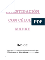 Borrador Investigación Células Madre