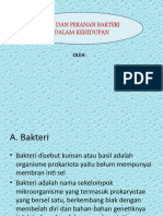 Bakteri Dan Penggolongan Bakteri