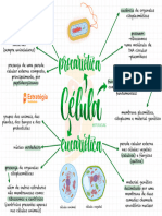 Mapa Mental - Célula - Biologia