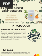 Timol 4%: Antimicótico para Uñas | PDF