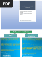 Familia y Procesos de Socializacion