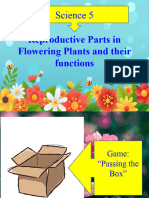 Cot 2 Reproductive Parts of Flower