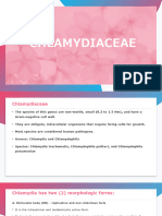 Chlamydiaceae Mycoplasma Ureaplasma Spirochaetes