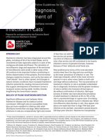 Management of Heartworm in Cats