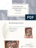 Anatomia Del Retroperitoneo y Via Urinaria 2021