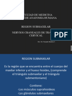 4.-CD Region Submaxilar