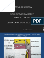 5.-CD Laringe y Glandula Tiroides