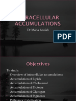 Intracellular Accumulations