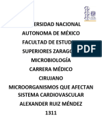 Microorganismos Que Afectan El Sistema Cardiovascular