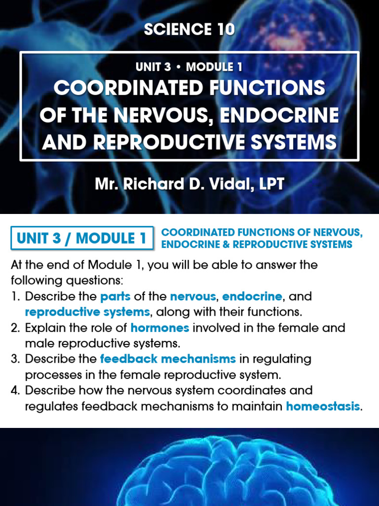 3-1 Nervous, Endocrine, and Reproductive System File | PDF
