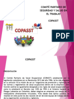 Funsiones Del Copasst1