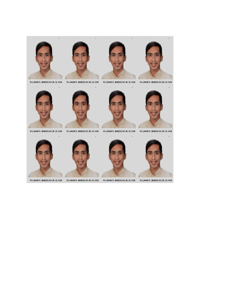Id Pictre | PDF