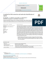 CTAB Method of Dna Extraction