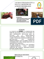 Tipos de Colecta de Macroinvertebrados